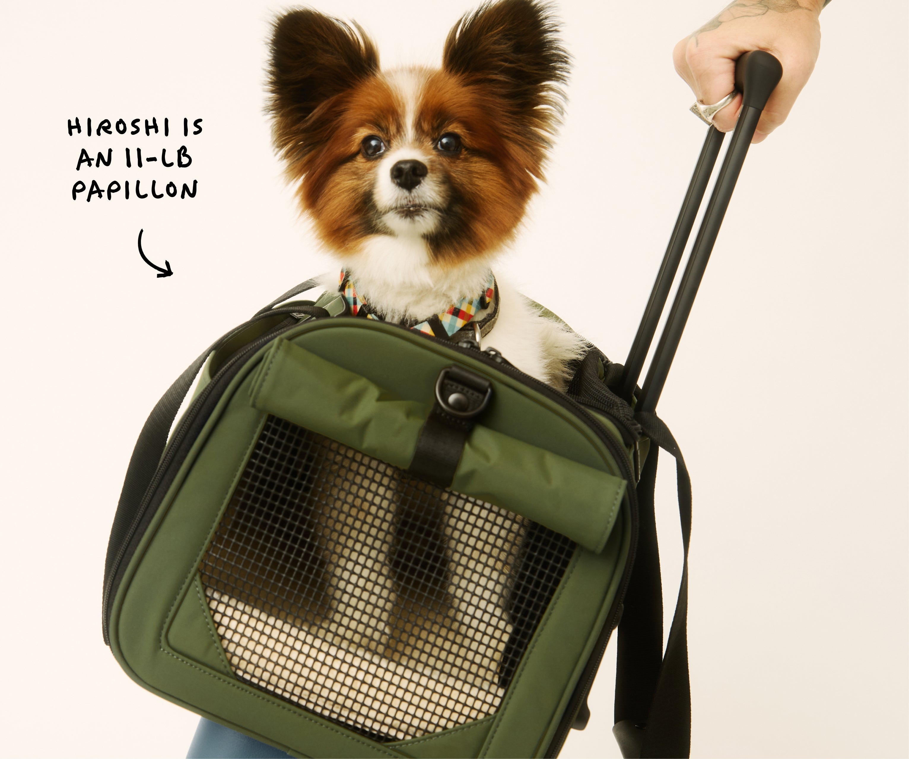 Away The Pet Carrier Travel Accessory - Olive Green