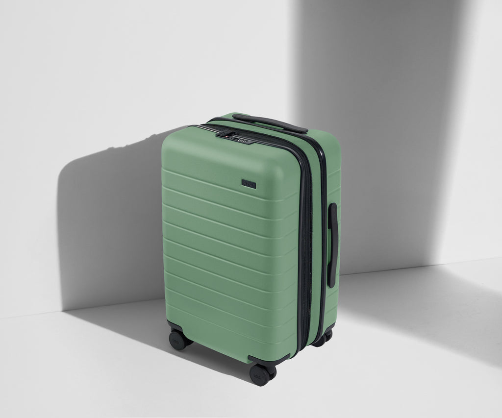 Away The Carry-On Flex Suitcase