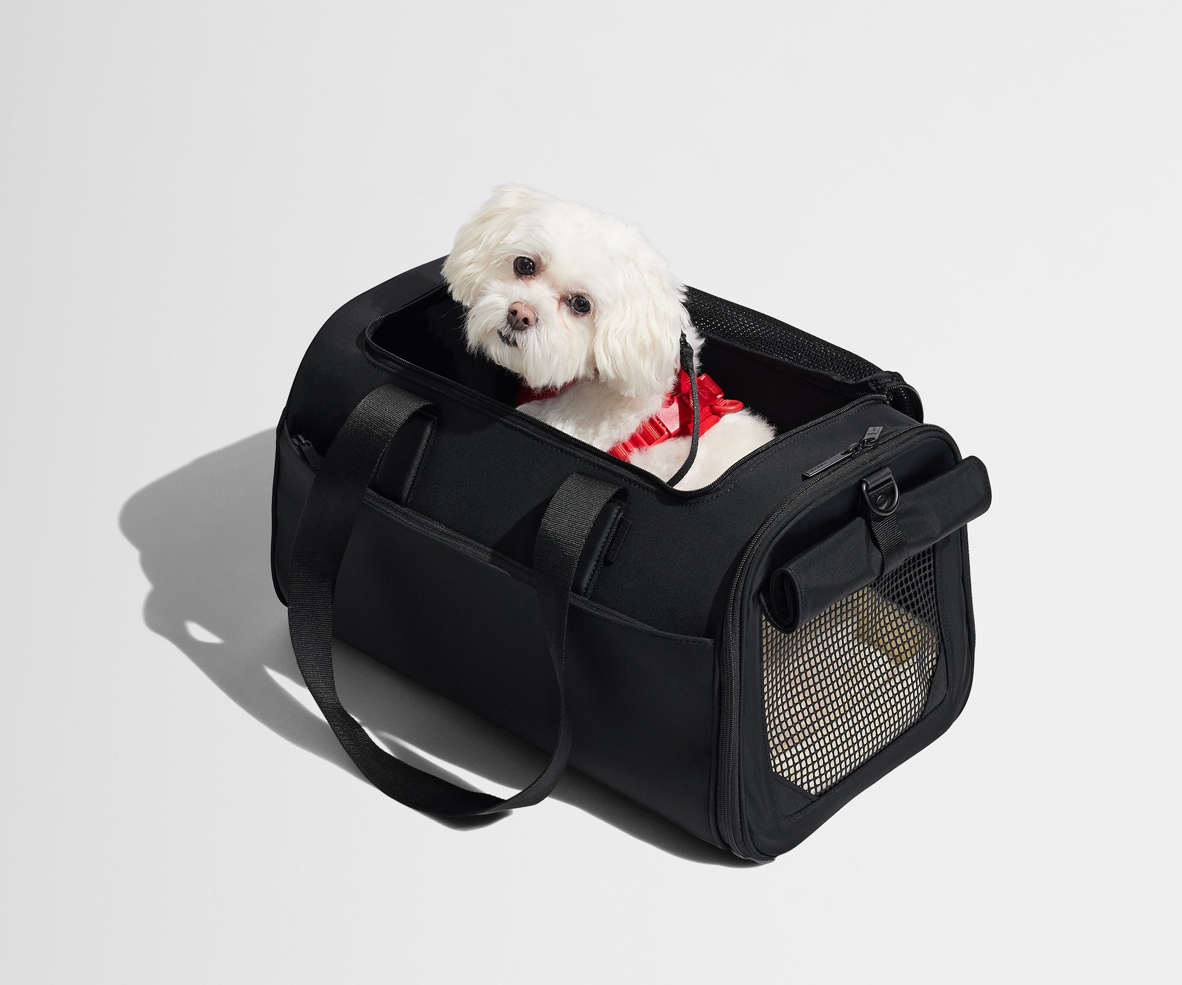 Away The Pet Carrier Travel Accessory - Jet Black