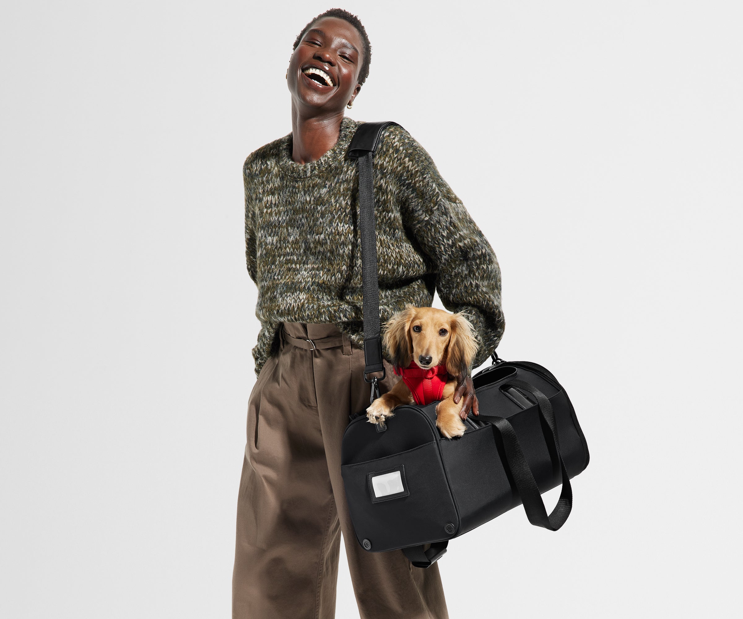 Away The Pet Carrier Travel Accessory - Jet Black